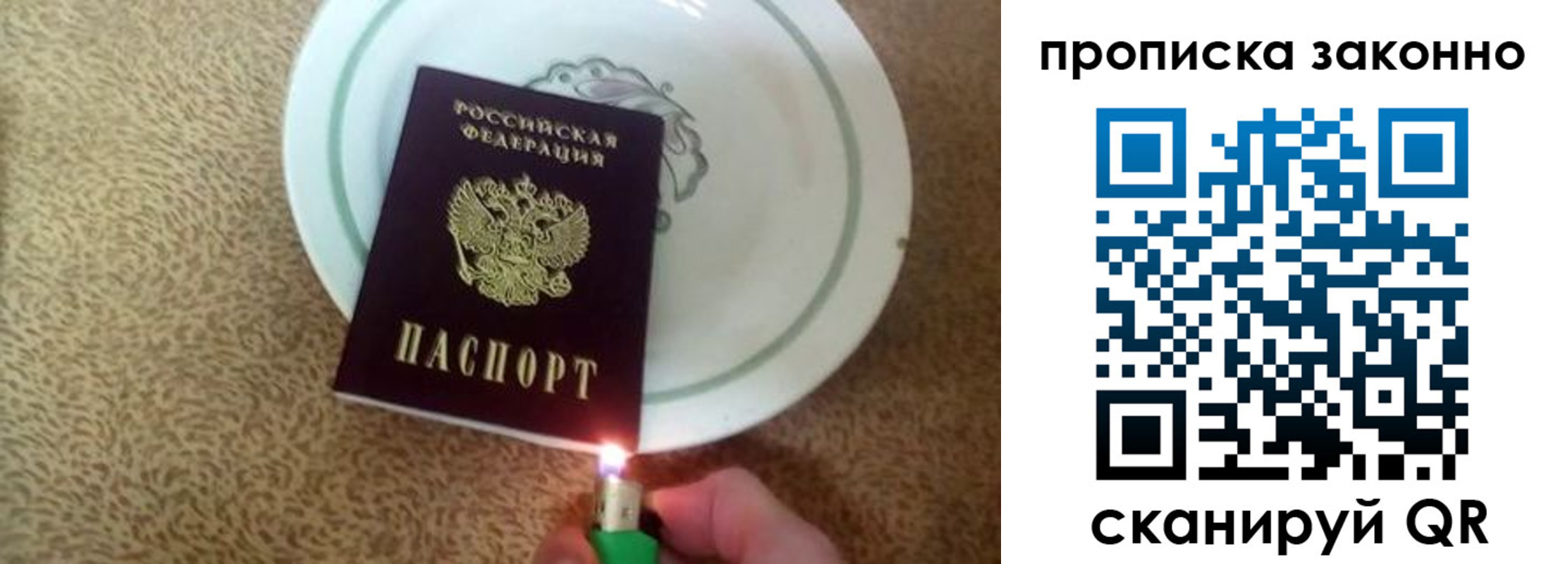 прописка поиск в Красногорске